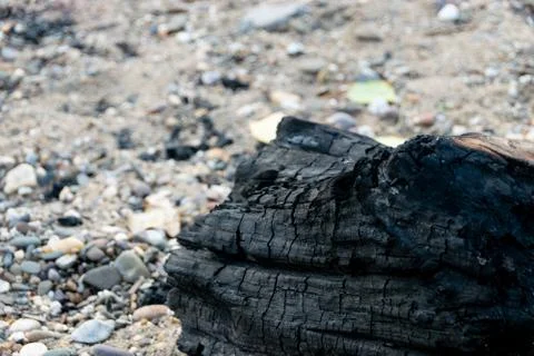Burnt down log on a beach Foto stock