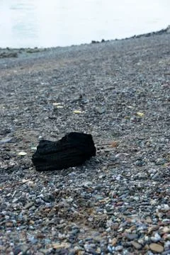 Burnt down log on a beach Foto stock