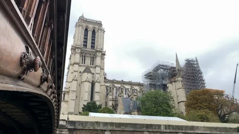 The burnt-down Notre-Dame cathedral in the rain Video stock 118260548