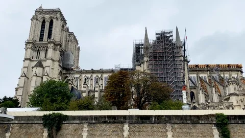 The burnt-down Notre-Dame cathedral in the rain Video stock 118260653