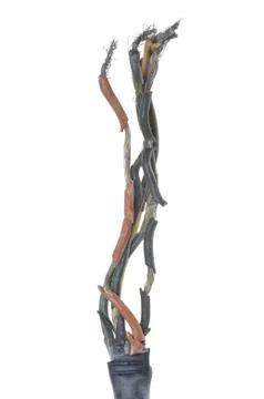 Burnt electrical cable Stock Photos