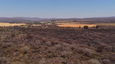 Burnt Farmland Border After Wildfire in South African Agricultural Region Stock Footage 346116558