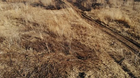 Burnt Field Aerial 스톡 동영상 89215746
