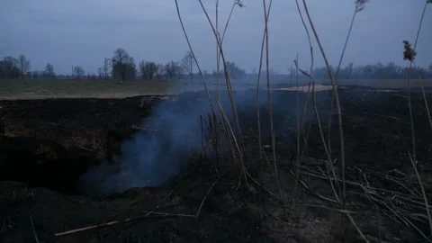 Burnt field. Arson of dry grass. Clouds of smoke 库存影片 131376643