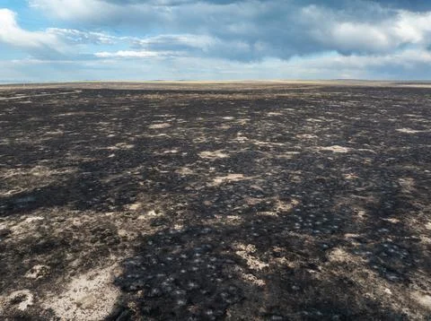 Burnt field stretches wide under cloudy sky Stock Photos