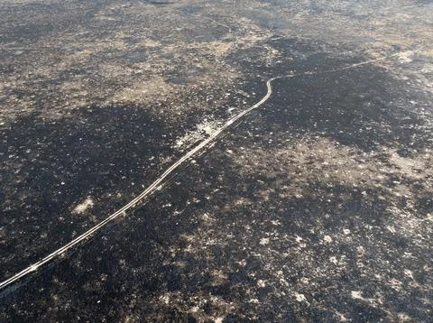 Burnt fields from a wildfire Stock Photos