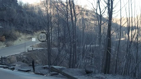 Burnt forest after a forest fire in the Pont de Vilomara in Barcelona Stock Footage 201975179
