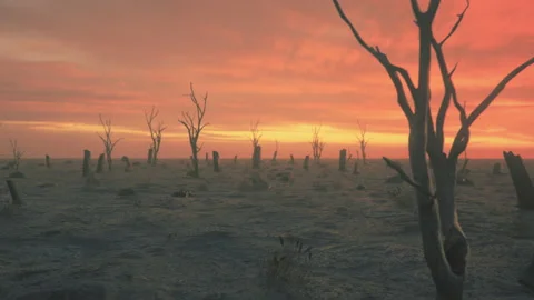 Burnt forest area, global warming concept Stock Footage 169401743