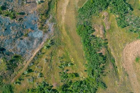 Burnt forest edge aerial view of scorched ground and wildfire aftermath Stock Photos