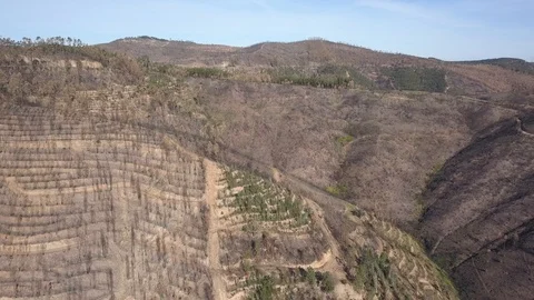 Burnt forest in Portugal from the air 2 Stock Footage
