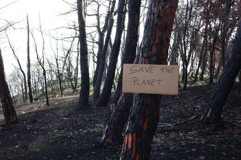 Burnt forest with sign let's save the planet Stock Photos