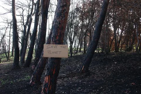 Burnt forest with sign let's save the planet Stock Photos