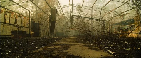 Burnt Frame of House Stock Footage 139797537