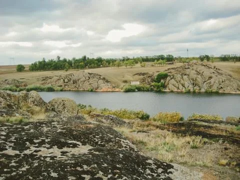 Burnt grass after a fire in a protected natural area near a lake. Be carefu.. Foto stock