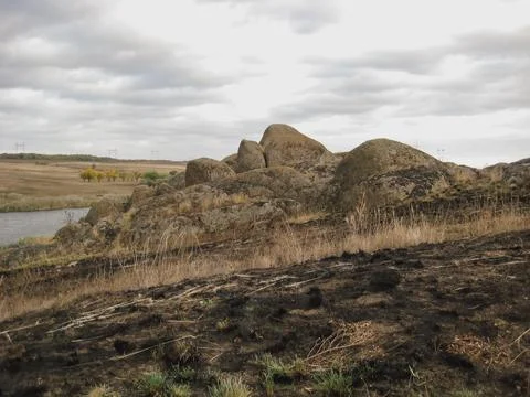 Burnt grass after a fire in a protected natural area near a lake. Be carefu.. Foto stock