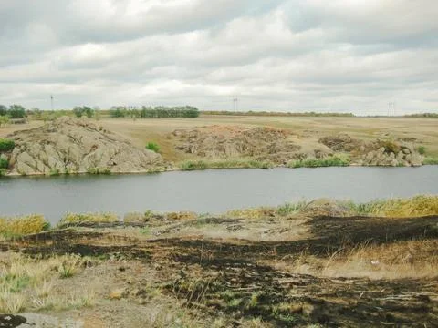 Burnt grass after a fire in a protected natural area near a lake. Be carefu.. Stock Photos