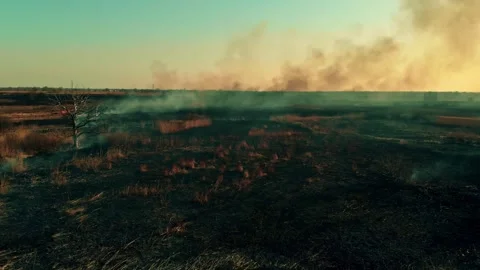 Burnt grass on the field Vídeos de archivo 131708856