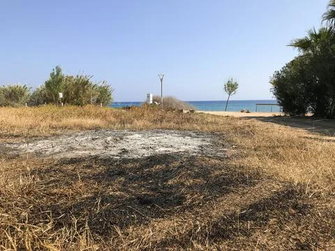 Burnt grass on the field in the spring. Protaras. Ayia Napa. Cyprus. Stock Photos