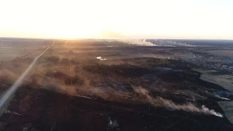 Burnt Grass. View from the Top Stock-Footage 128971105