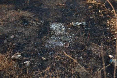 Burnt Ground With Ash After Wildfire Stock Photos
