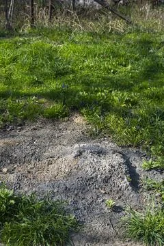 Burnt Ground Patch in Grass, Environmental Damage Concept Stock Photos