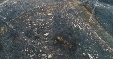 Burnt ground under power line tower The Concept of Risk Stock Footage 323564652