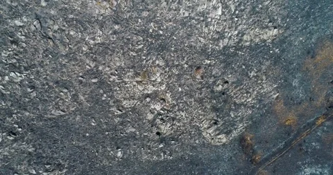 Burnt ground with white rocks The Concept of Contrast Video stock 323473006