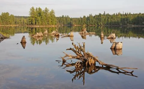Burnt island reflection Stock Photos