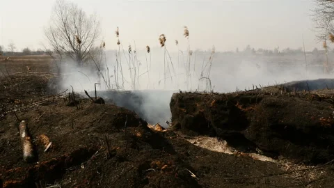 Burnt land after a spring fire on the field. Smoldering grass. Big pits with ash Stock Footage 131438135