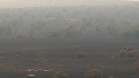 Burnt landscape after a forest fire. Aerial shot. Stock Footage 327789856