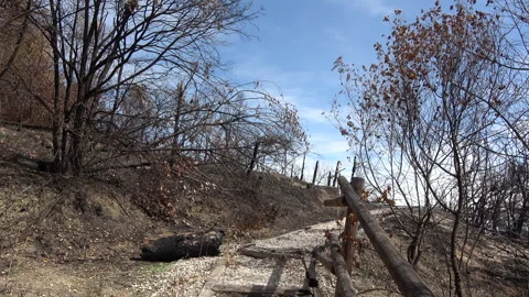 Burnt Landscape After Monte Mario Fire in Rome Stock Footage 285076299