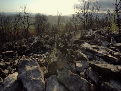 Burnt landscape 스톡 동영상 81088425