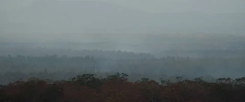 Burnt Landscape Stock Footage 139794759