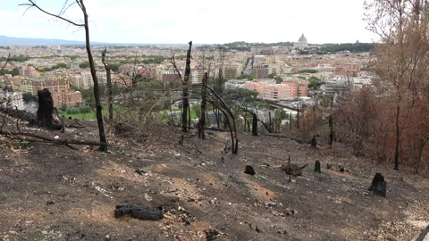 Burnt Landscape with Rome Skyline After the Fire Stock Footage 285078014