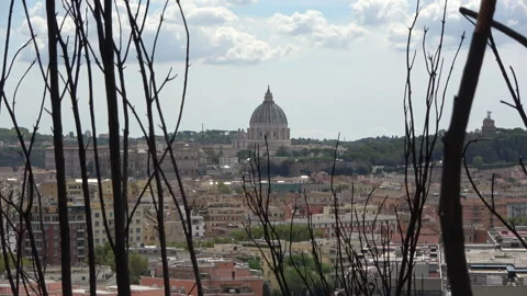 Burnt Landscape with St Peter's Dome Skyline After the Fire Stock Footage 285077832