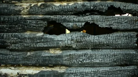 Burnt log wall with burned-out holes Stock-Footage 138419628