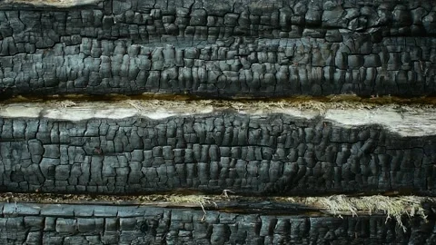 Burnt log wall, close-up Stock Footage 138419627