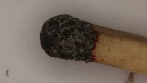 A burnt match, the head under the microscope Stock Footage 342166074