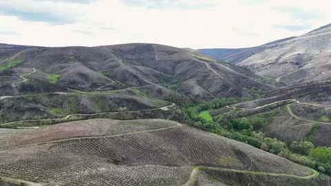 Burnt mountain landscape after forest fire devastation Stock-Footage 333840852