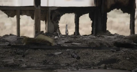 Burnt Out Home Floor Medium Close Up Stock Footage 89941884