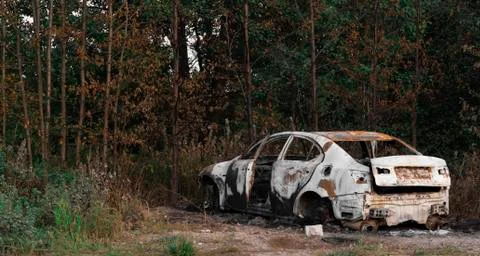 Burnt out,Wrecked car after an explosion or fire.Abandoned car in the forest. Stock Photos