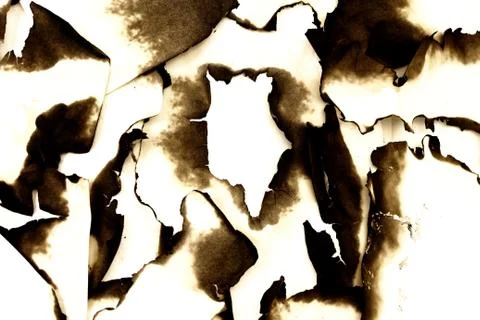 Burnt paper as the background. Stock Photos