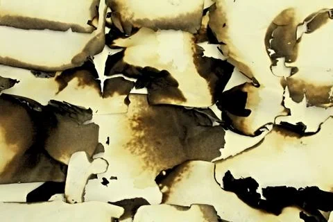 Burnt paper as the background. Foto stock