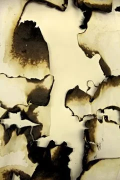 Burnt paper as the background. Stock Photos