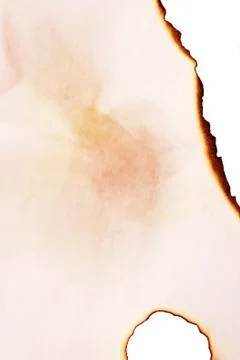 Burnt paper Illustrazione stock