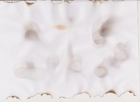 Burnt paper texture Stock Photos