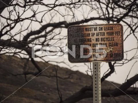 Burnt Park Sign From Wildfire Stock Photos