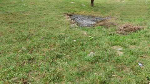 Burnt patch and trash on grassy field area Foto stock