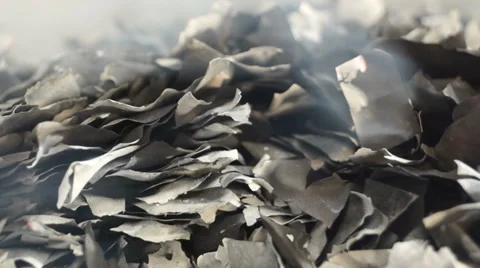 Burnt Pieces of Paper Stock Footage 33603280