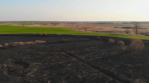 Burnt plants in the river valley. Stock Footage 153692214